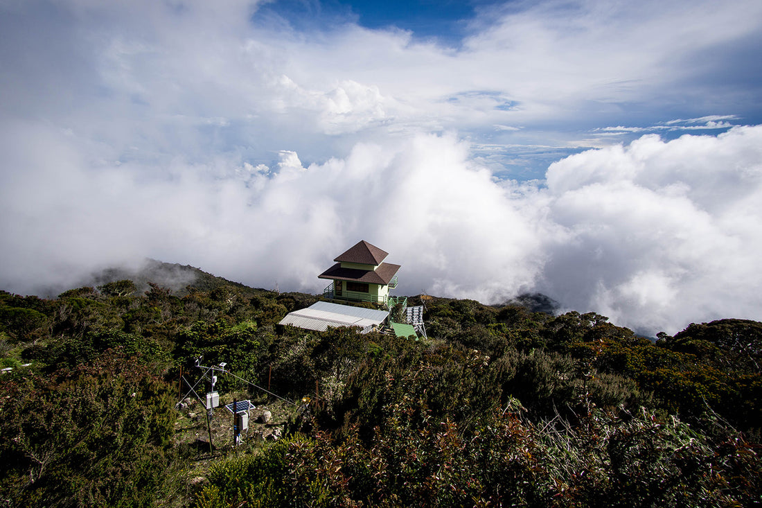 DIY 2D1N Mount Kinabalu Climb (Accommodation & Meals only)