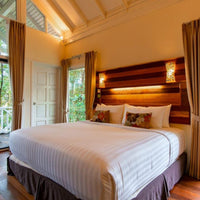 Nepenthes Suite