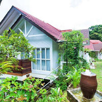 Nepenthes Suite