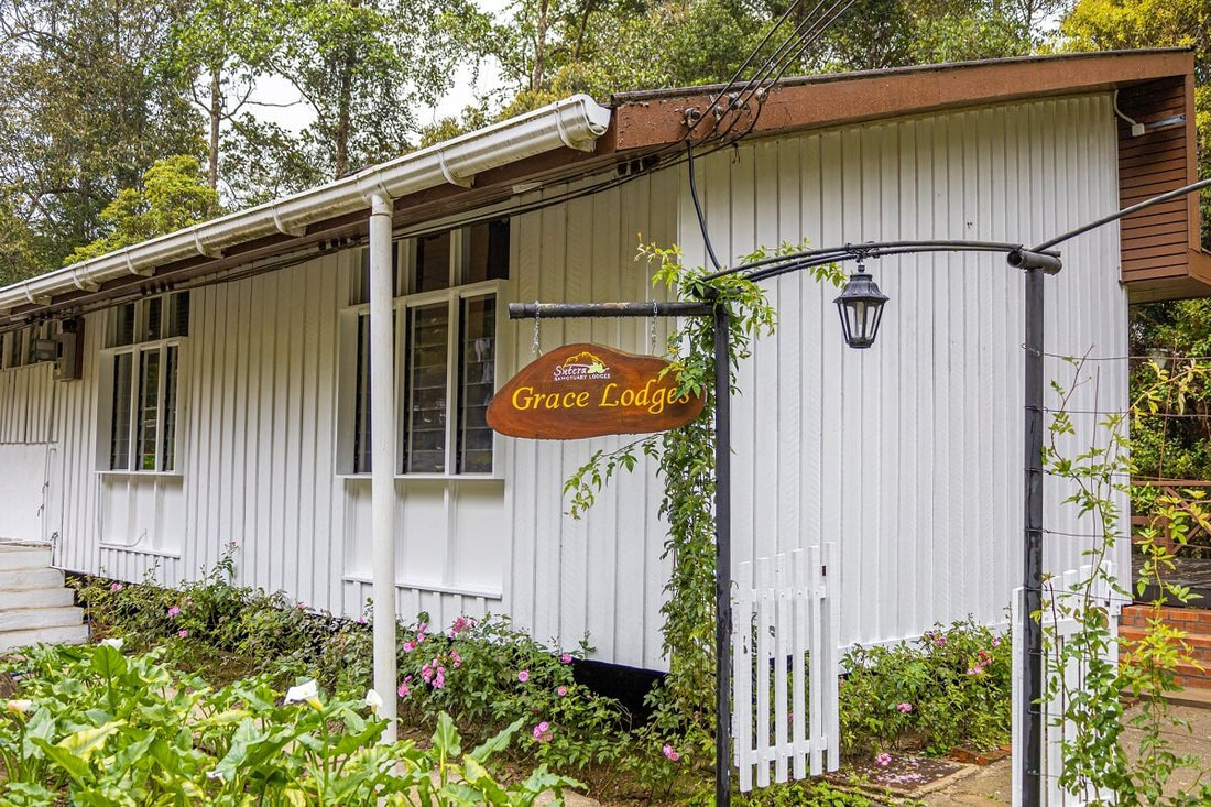 Grace Lodge (Premier Chalet)