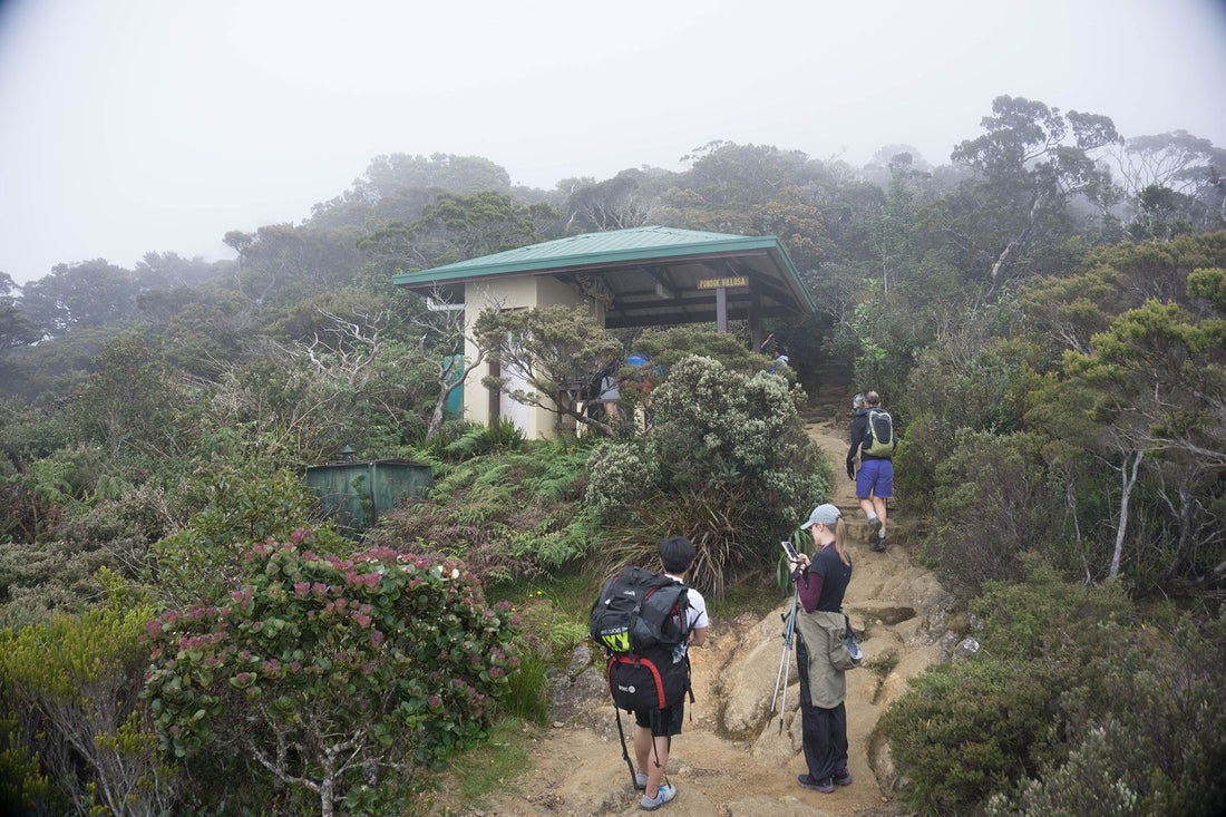 3D2N Mount Kinabalu Climb & Kundasang Stay (Budget)